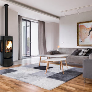 Color & Fire / Trivision G3 / Poêle à bois